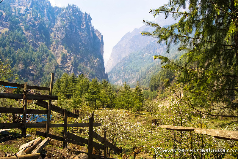 annapurna circuit without a guide