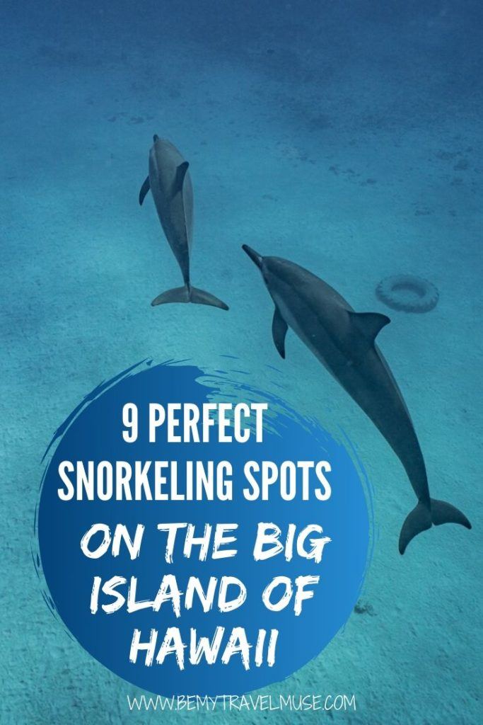 Here are 9 perfect snorkeling spots on the Big Island of Hawaii to consider when planning a trip. See dolphins, turtles, manta rays and the most colorful fishes with the help of this amazing guide!