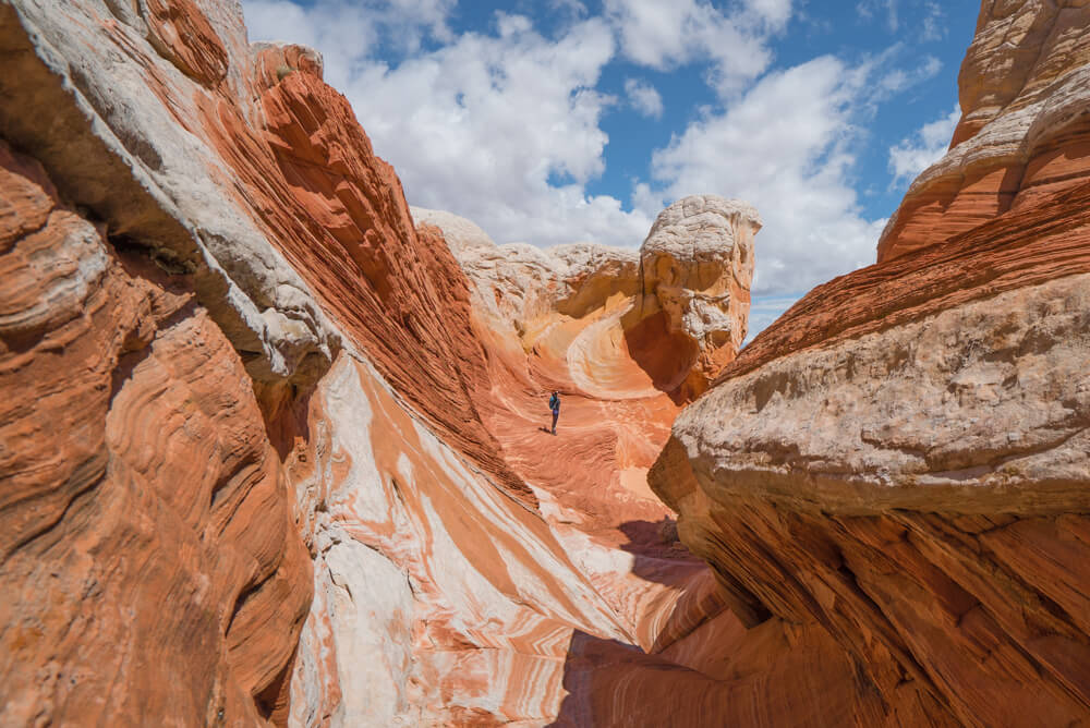 white pocket arizona